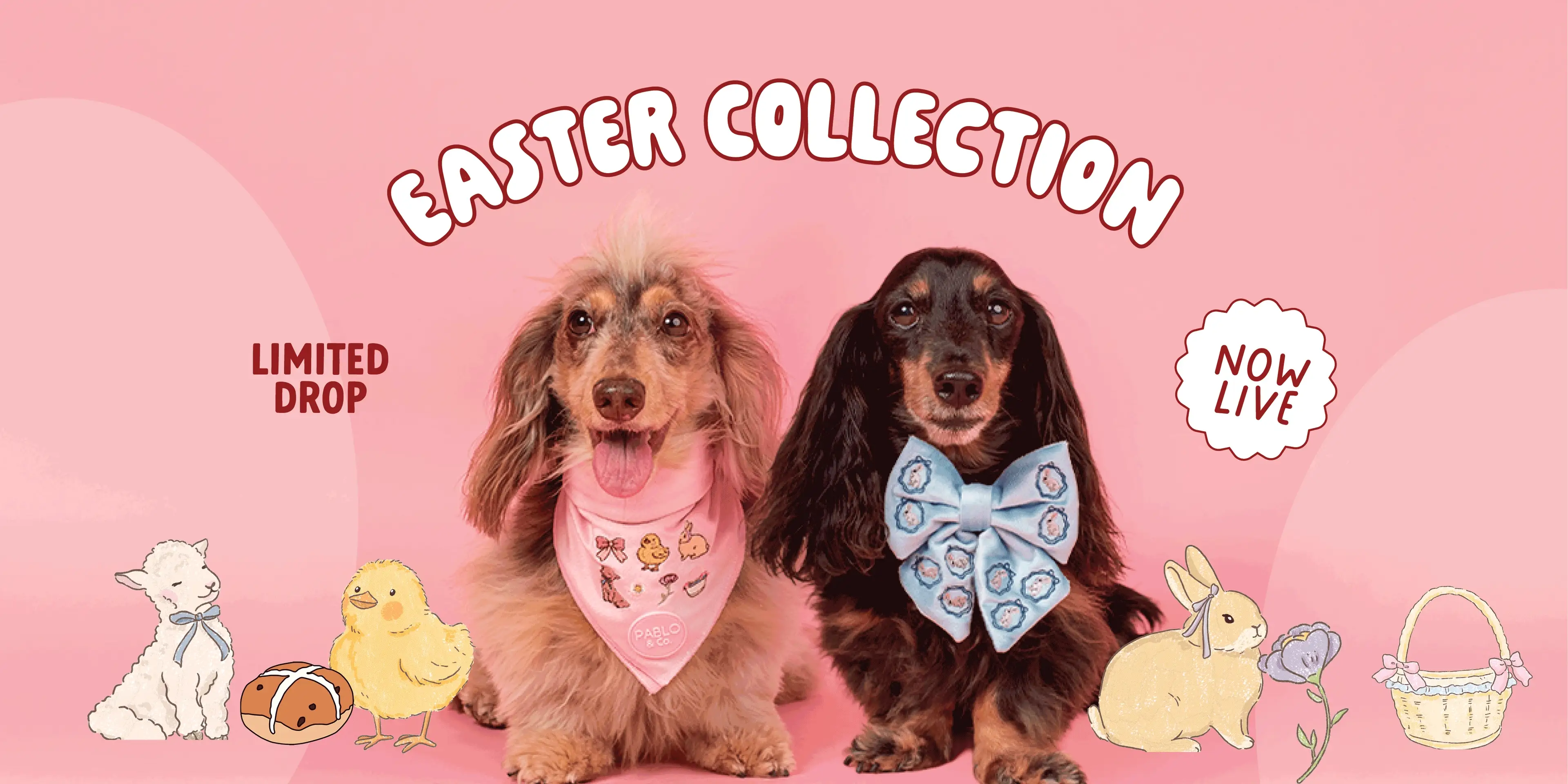 Welcome to Our Store