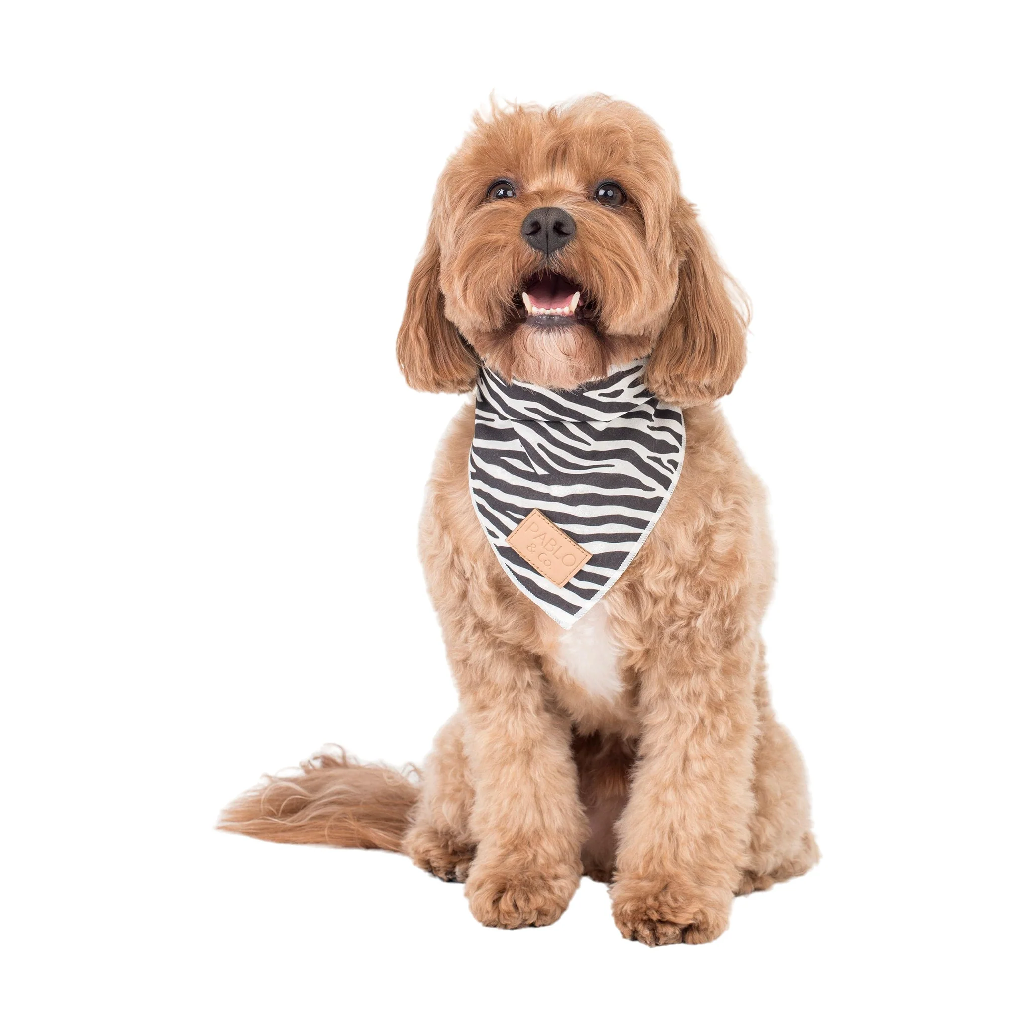 Black & White Zebra - Bandana - Image 3