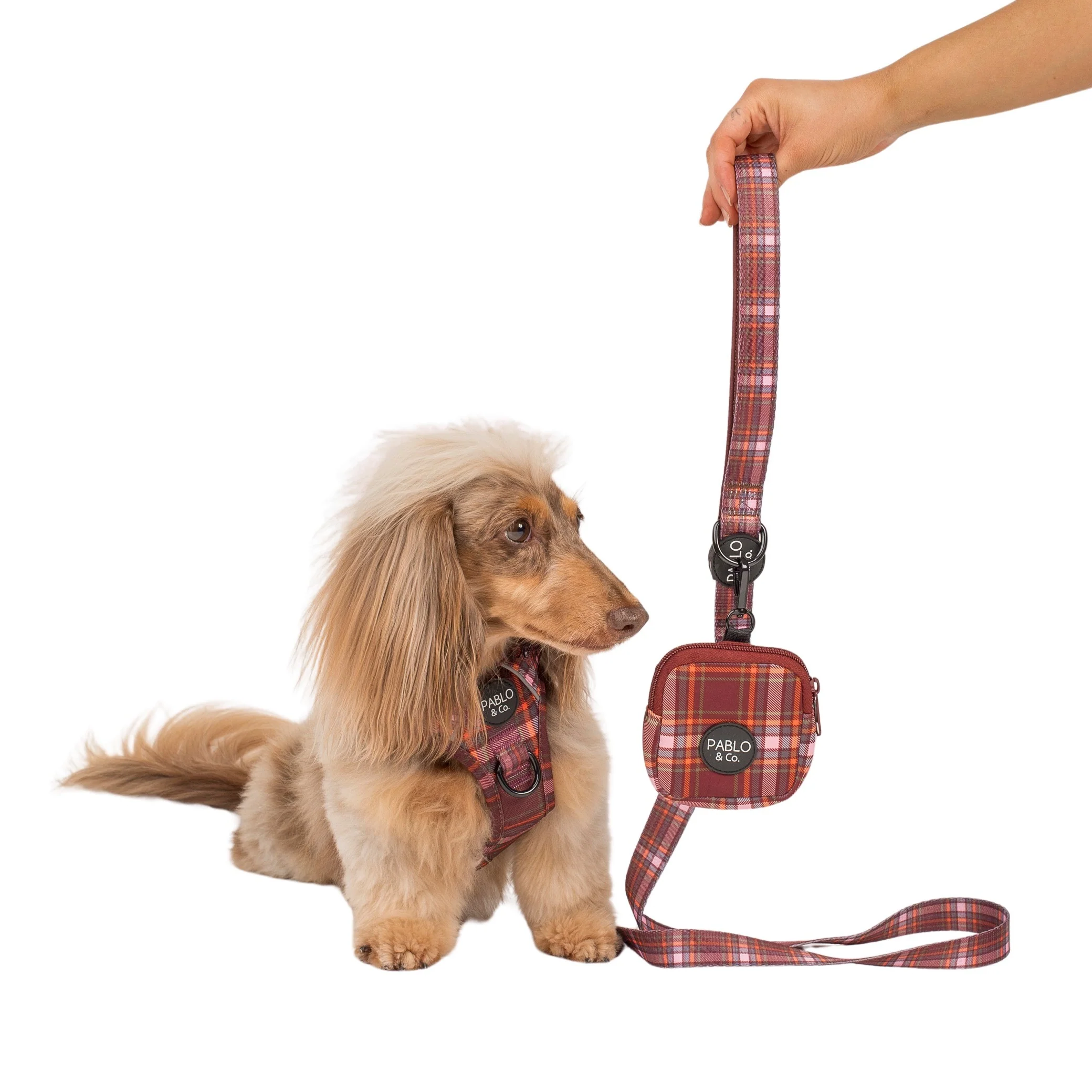 Camilla: Treat Pouch - Image 3