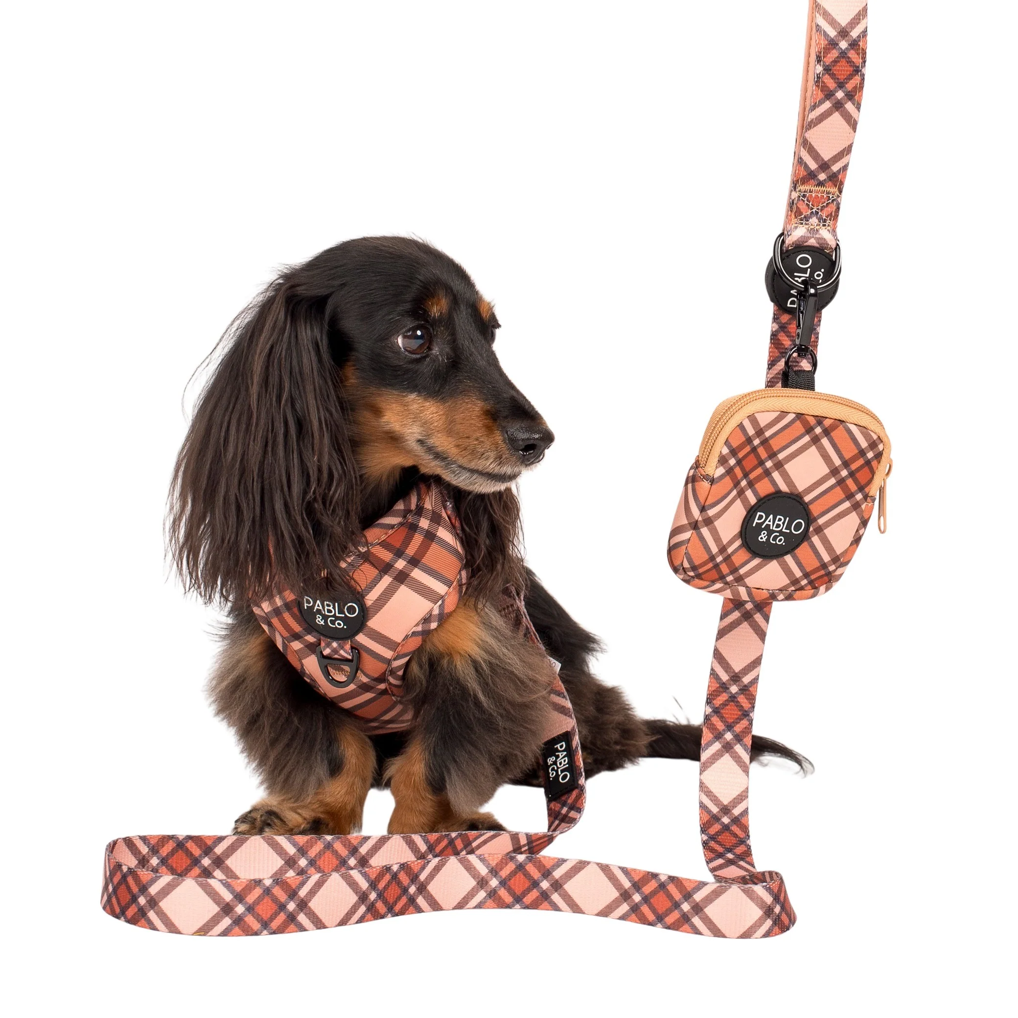 Kensington: Treat Pouch - Image 3