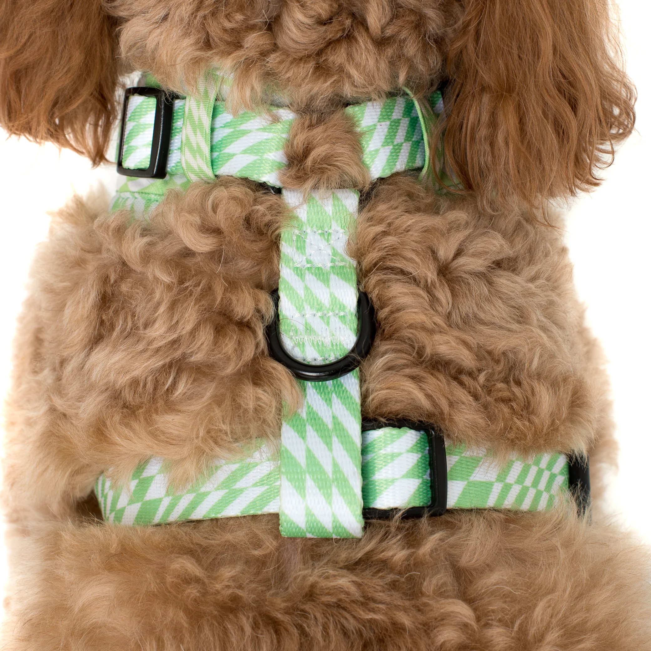 Lime Check Check: Adjustable Harness - Image 3