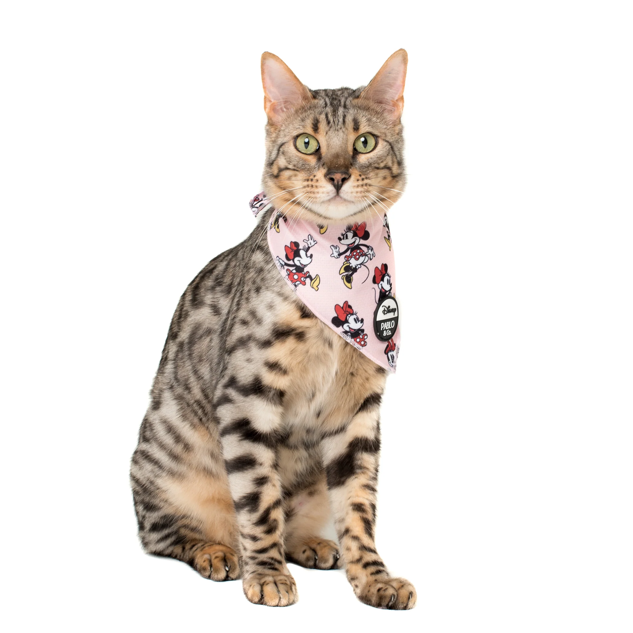 Minnie Mouse & Flowers: Cat Bandana - Image 3