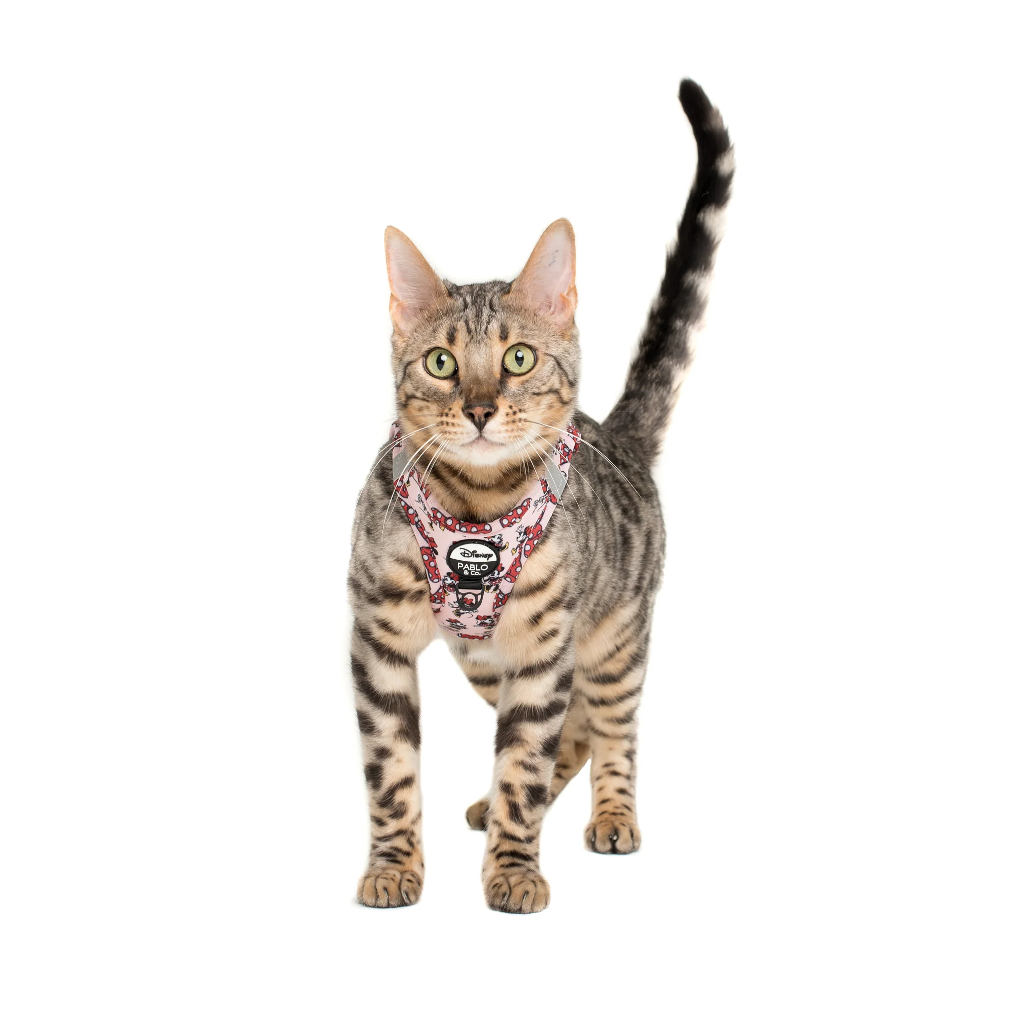 Minnie Mouse & Flowers: Step In Cat Harness - Image 3