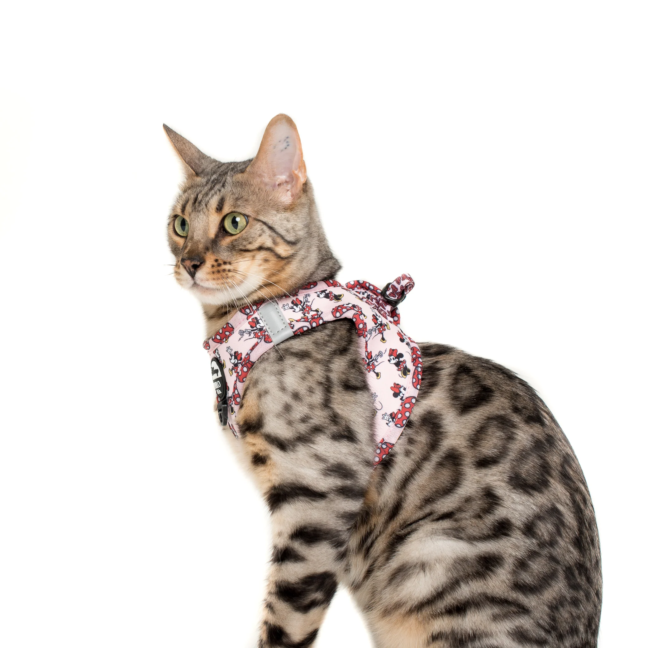 Minnie Mouse & Flowers: Step In Cat Harness - Image 4