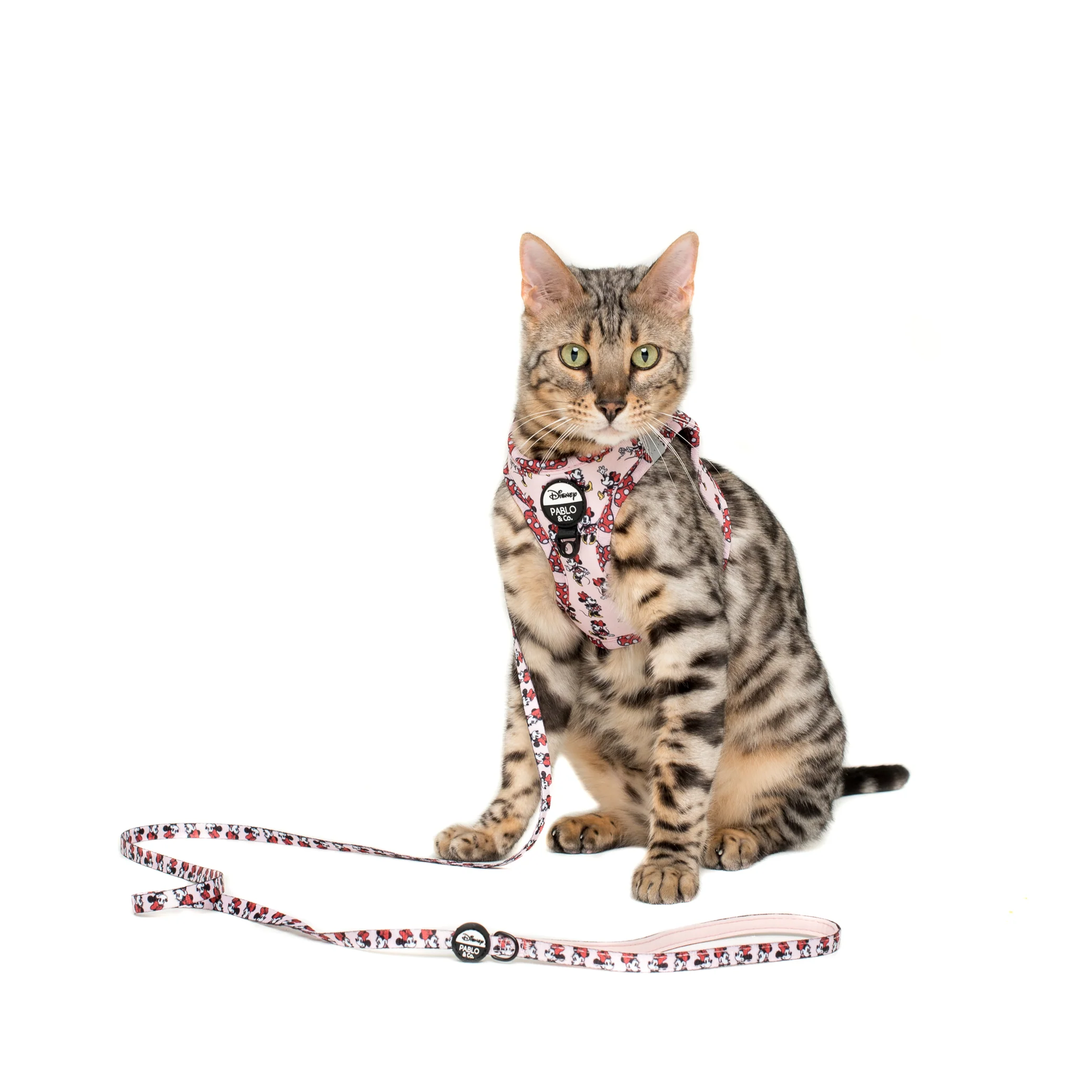 Minnie Mouse & Flowers: Step In Cat Harness - Image 5