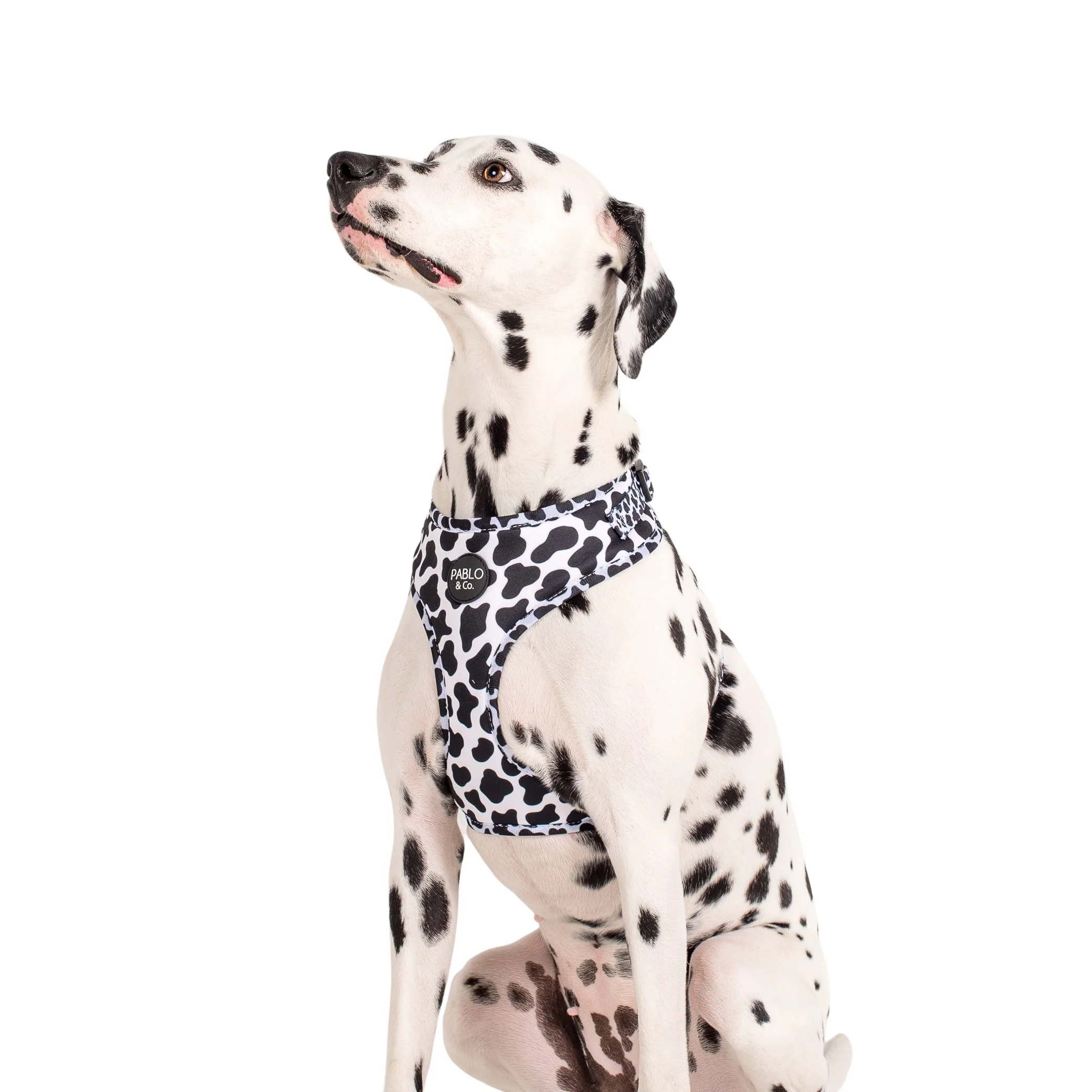 Moo Moo: Adjustable Harness - Image 4