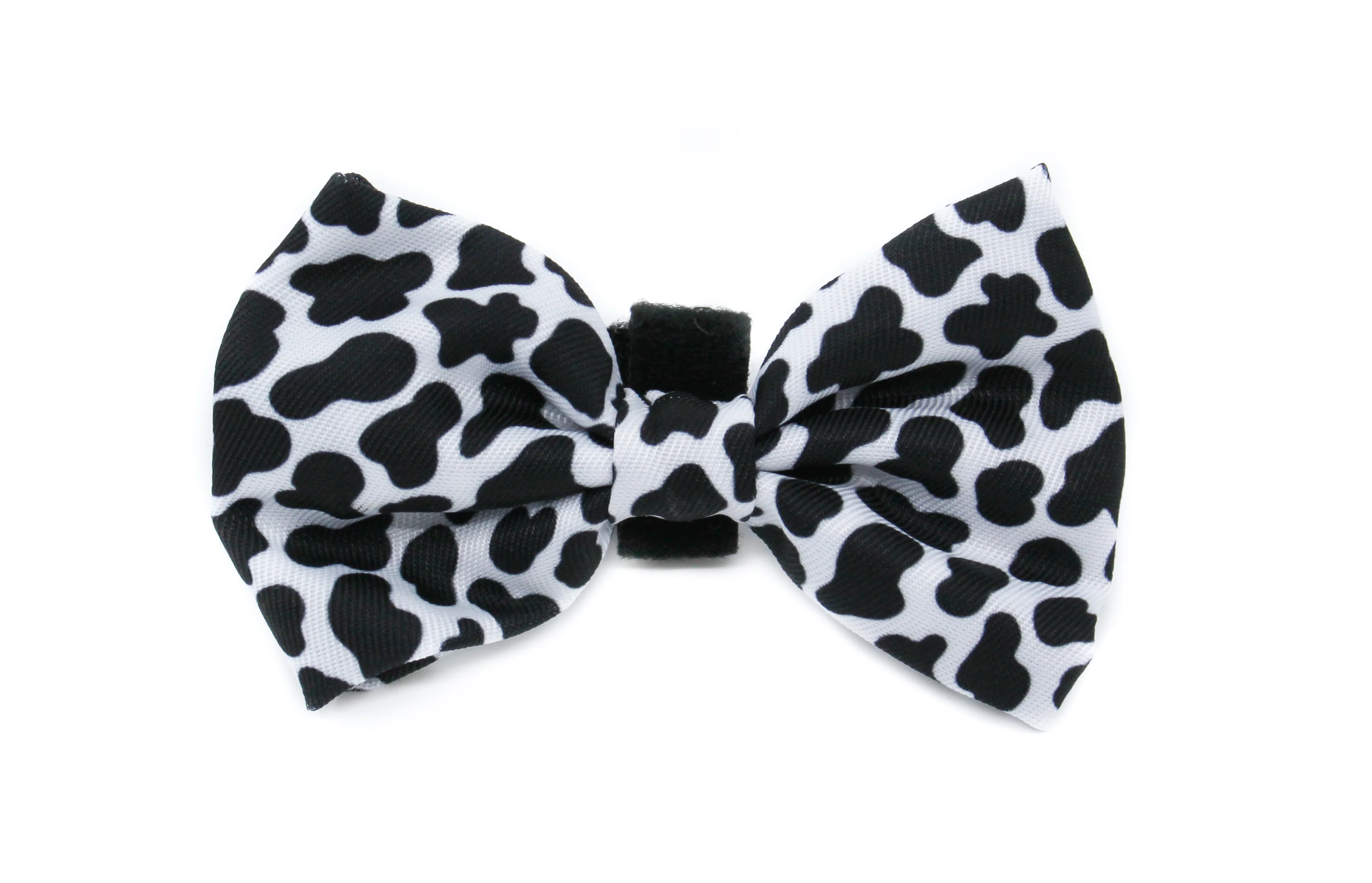 Moo Moo: Bow Tie - Image 3
