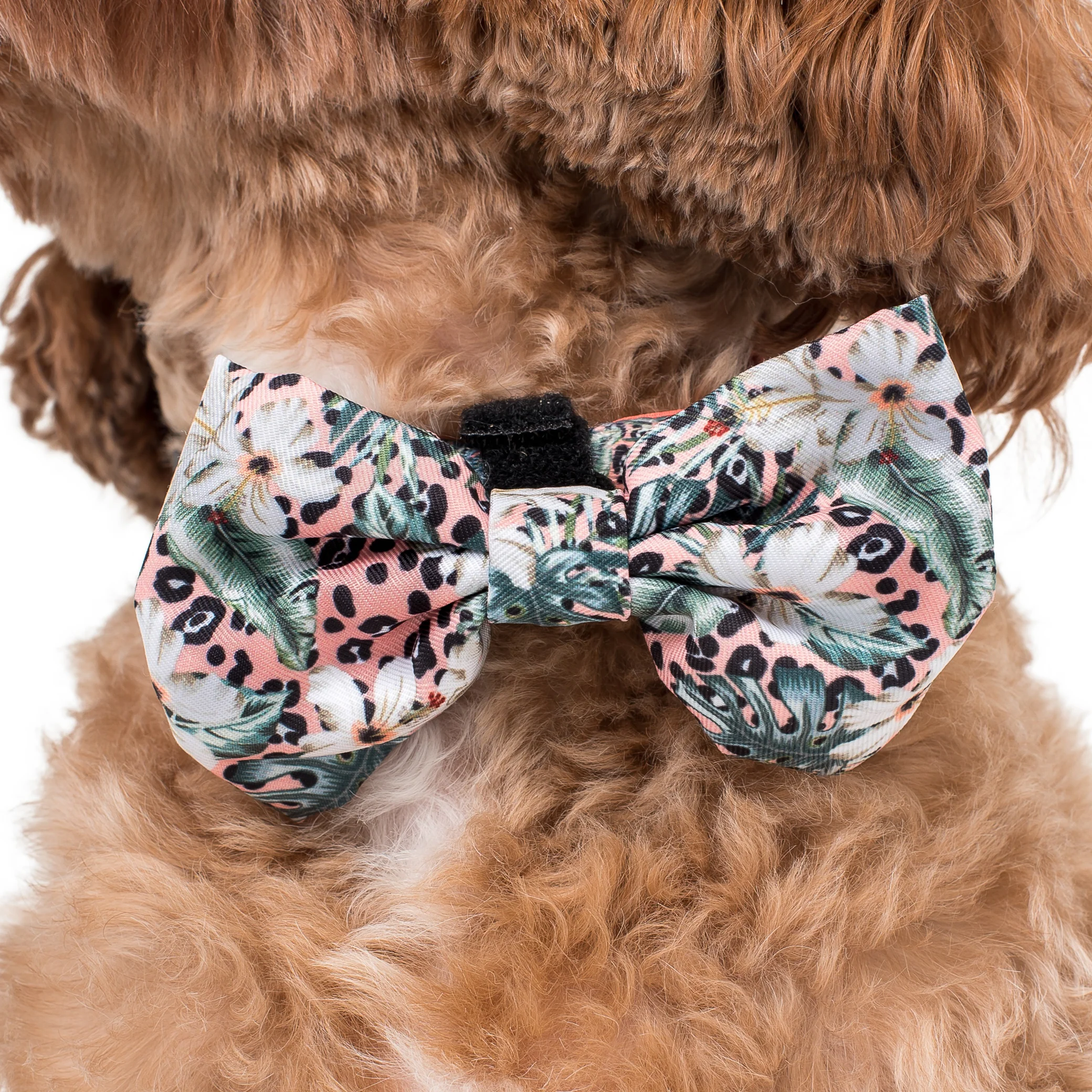 Palm Beach: Bow Tie - Image 3