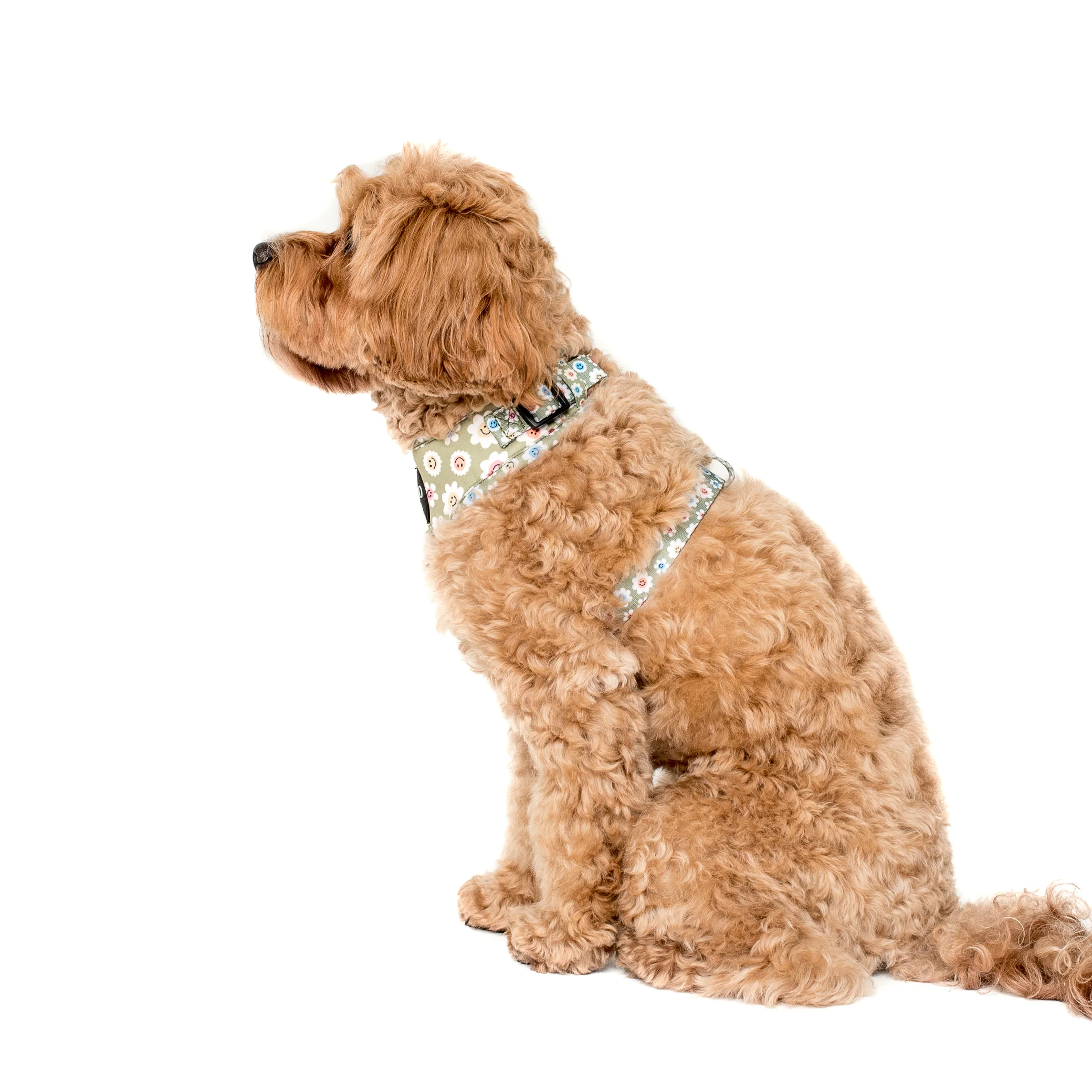 Smiley Flowers: Adjustable Harness - Image 3