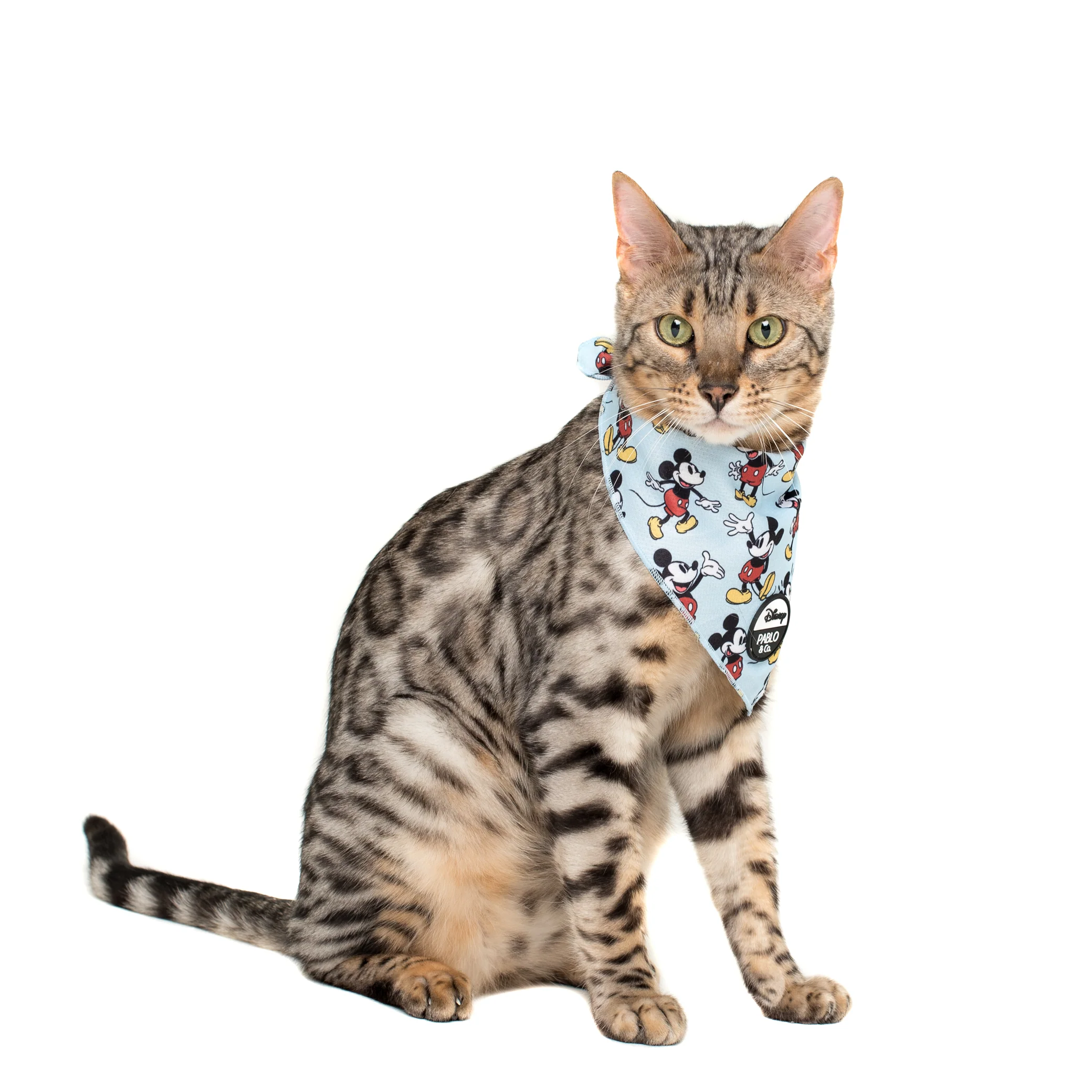The Original Mickey Mouse: Cat Bandana - Image 3