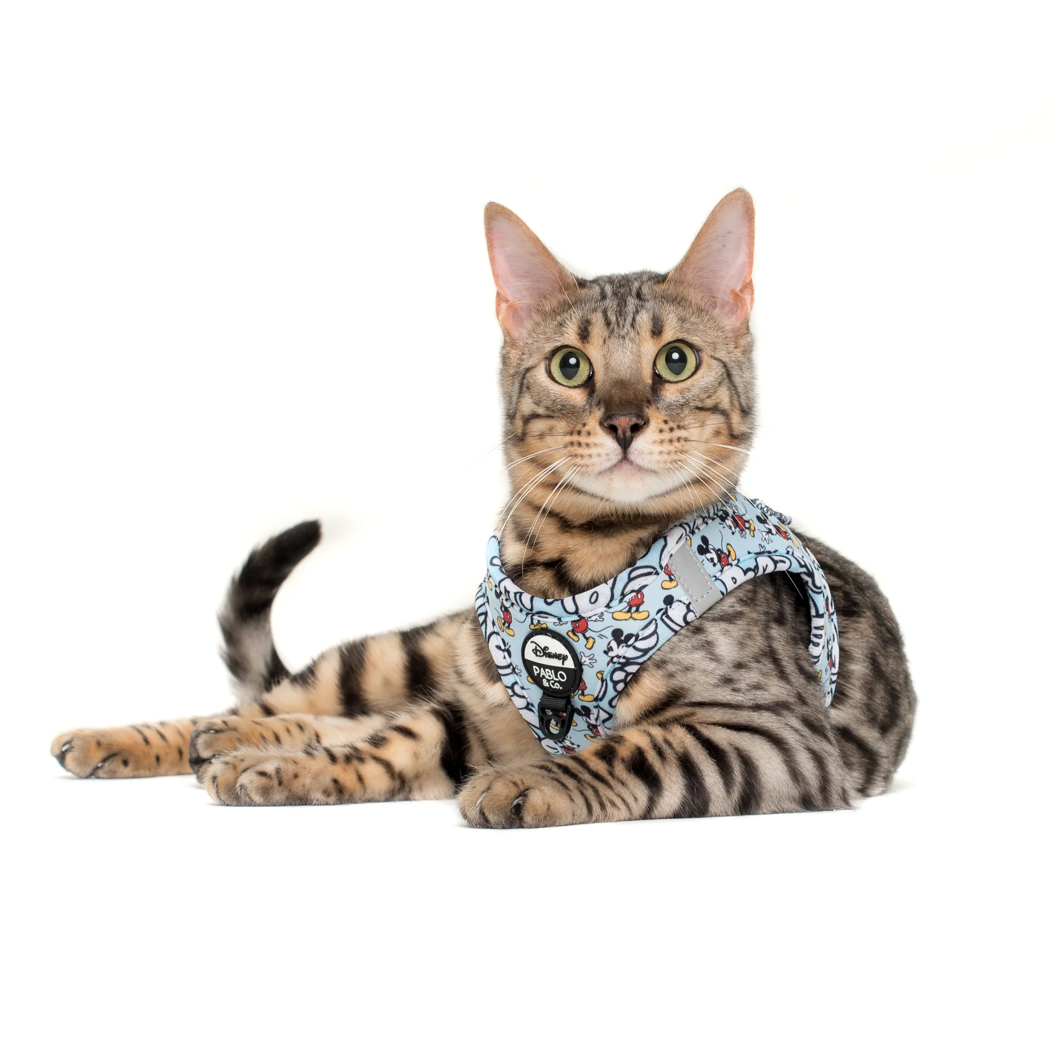 The Original Mickey Mouse: Step In Cat Harness - Image 3