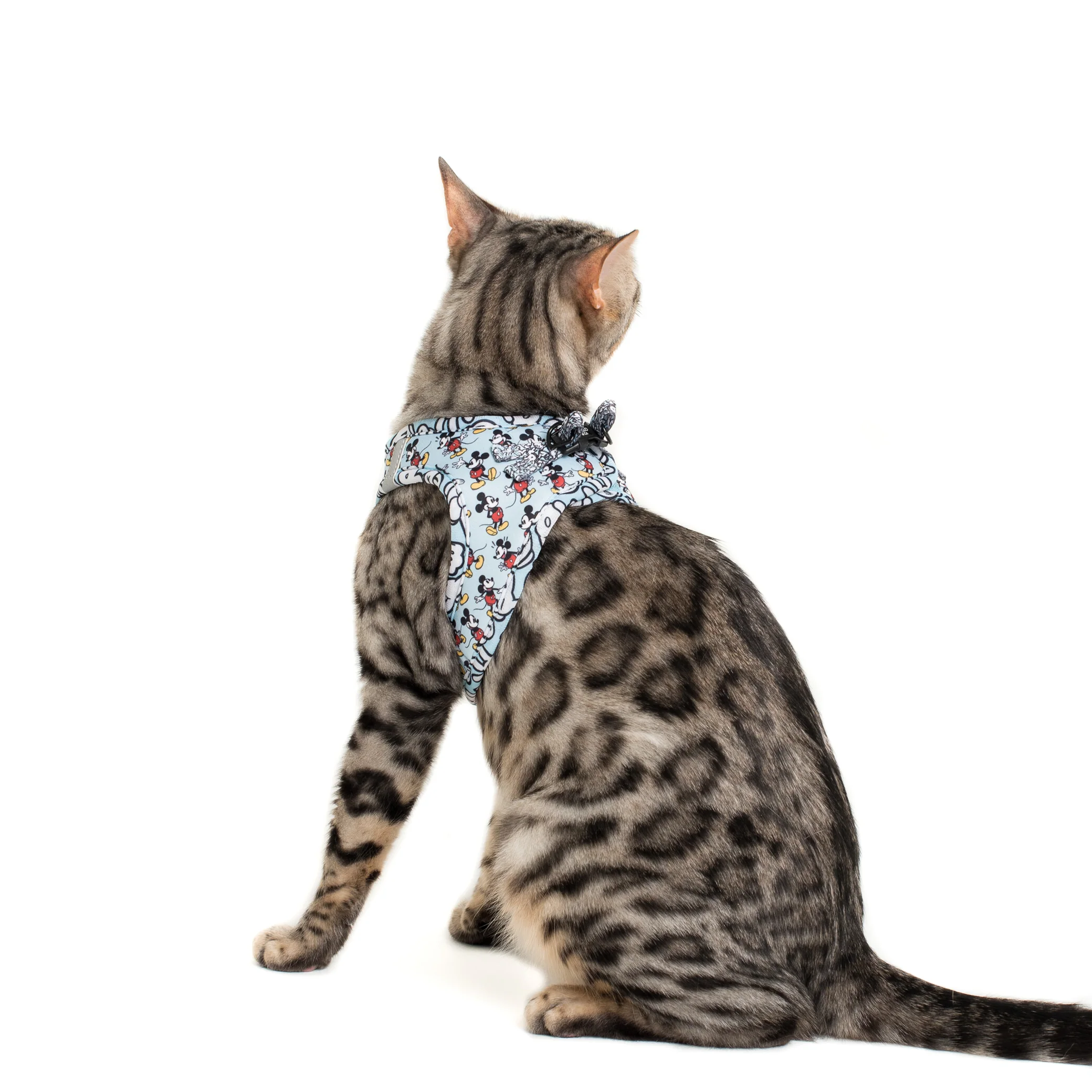 The Original Mickey Mouse: Step In Cat Harness - Image 4